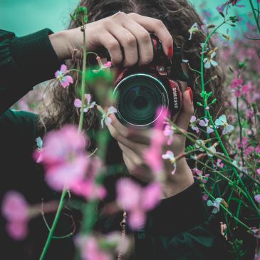 woman shooting a photograph at pink flowers